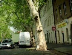 pred pavlačovým domom