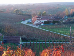 Pohled na oblast s vinou révou