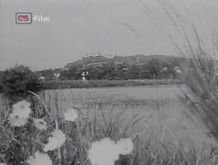 V pozadí Příbram-Svatá Hora