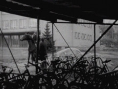 Zemědělská škola