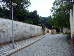 Projížďka na koni