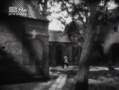 Varhaník u sv. Víta