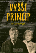 Vyšší princip