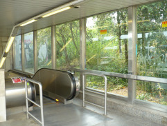 Výzkum veřejného mínění 2