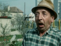 Výzkum veřejného mínění