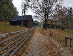 Květa jde na námluvy