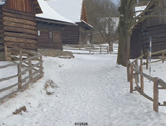 Dvanáct měsíčků