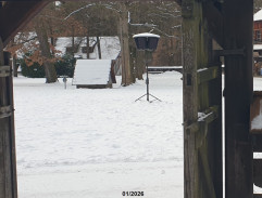 Dvanáct měsíčků