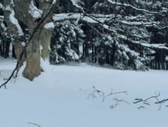 Maruška jde s Noskem ke krmelci