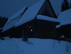 Dvanáct měsíčků