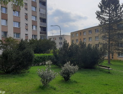 10. Svátky klidu a míru