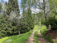 chalupa v Pilínkove