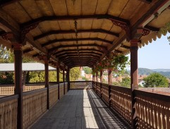 Bořivoj honí zlaťák