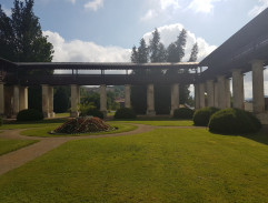 Bořivoj na zahradě