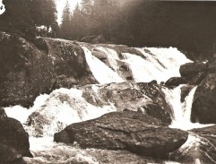 Jak se krotí krokodýli