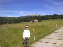 Jak se krotí krokodýli