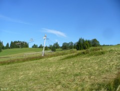 Jak se krotí krokodýli