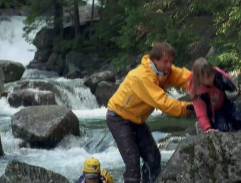 Jak se krotí krokodýli