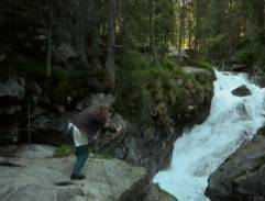 Jak se krotí krokodýli