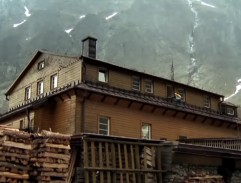 Jak se krotí krokodýli