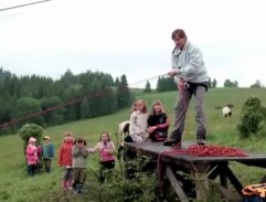 Jak se krotí krokodýli