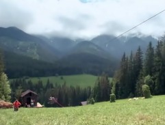 Jak se krotí krokodýli