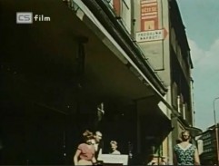 Před Bílou labutí