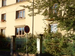 Milan hledá kamaráda