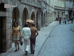 Luděk a Michal jdou ulicí