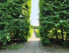 pan profesor na zahradě