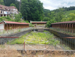 pan profesor přichází