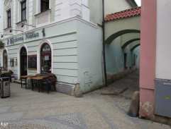 Červená ještěrka