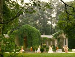 Nejkrásnější hádanka