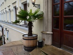 Kronika žhavého léta