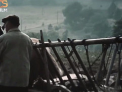 Kronika žhavého léta