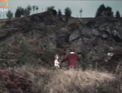 Kronika žhavého léta