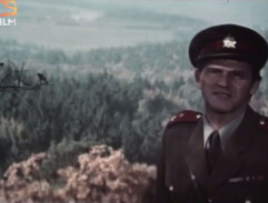 Kronika žhavého léta