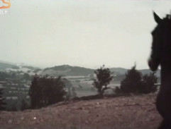 Kronika žhavého léta