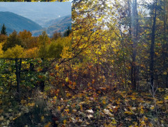 Kronika žhavého léta