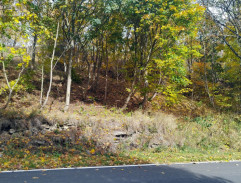 Kronika žhavého léta