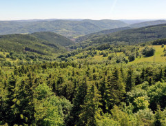 krajina pri skalách