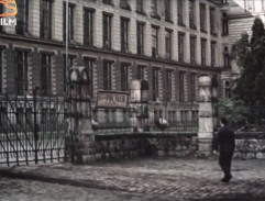 Kronika žhavého léta