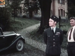 Kronika žhavého léta