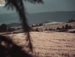 Kronika žhavého léta