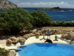 Mořský park, kde Henry pracuje