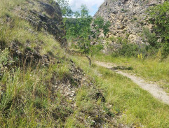 Zlatokopové z Arkansasu 