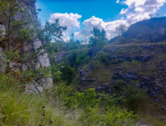 Zlatokopové z Arkansasu 