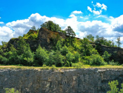 Zlatokopové z Arkansasu 