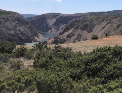 Nad Zrmanjou. Bičování.