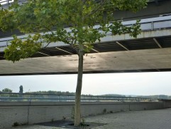 spomienky: rande s Martinom 3